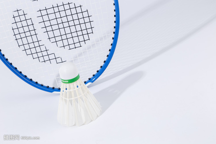 奋发向上的 奋发向上的