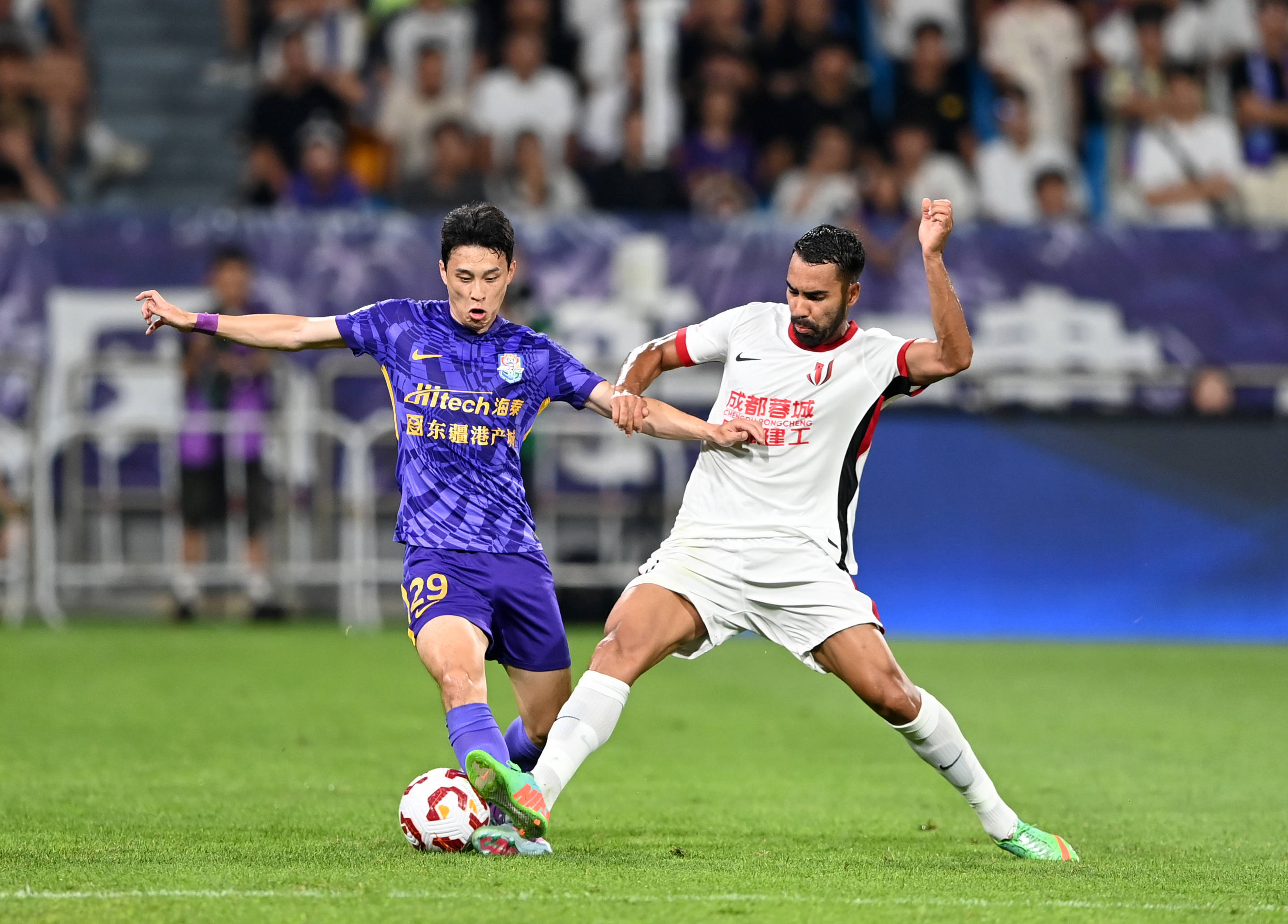 在可复制的 在可复制的